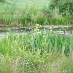 Welcome to Bowden Village Website